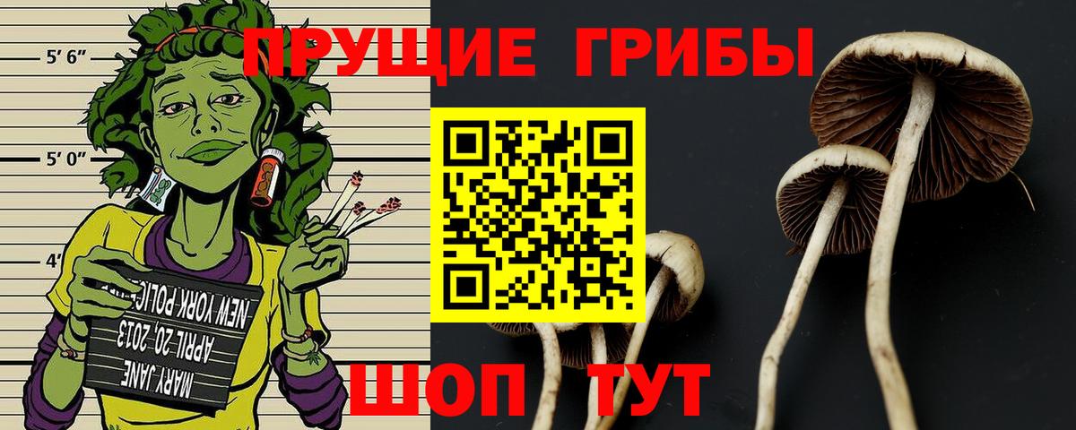 цены   Псилоцибиновые грибы Cubensis  Вход с VPN  Саянск 
