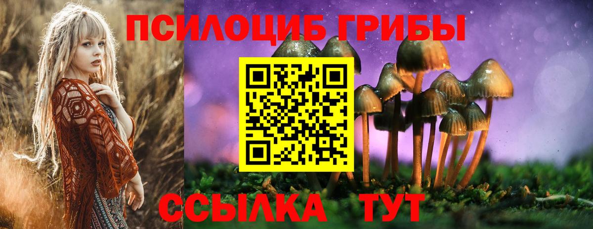 Псилоцибиновые грибы Psilocybe Саянск